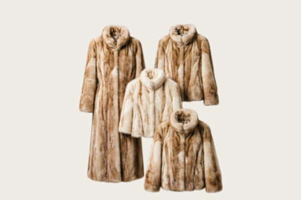 信都区回收皮草衣服